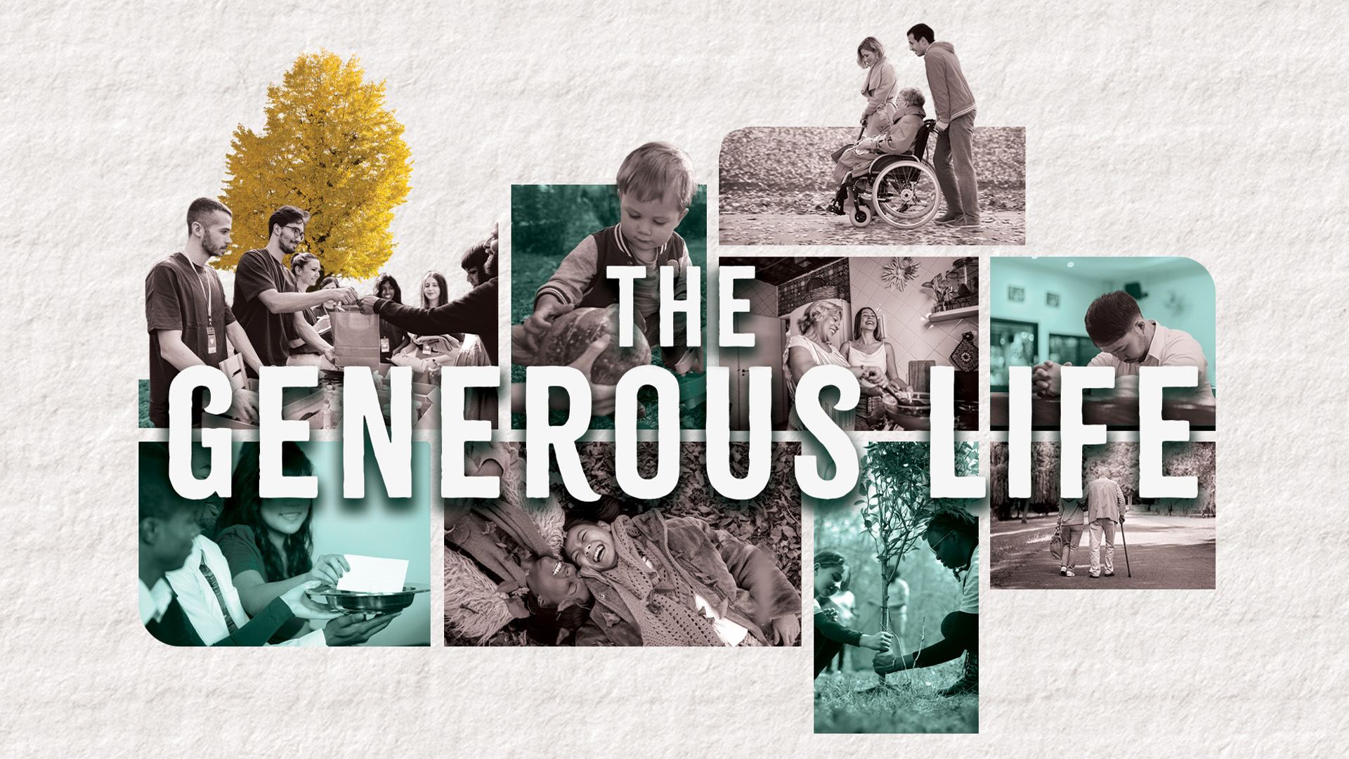 TheGenerousLife LOGO 1920x1080 TheGenerousLife LOGO 1920x1080